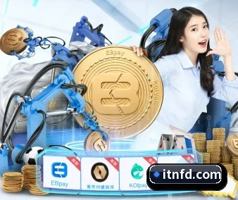 国际化进程